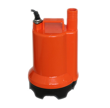 WWB-01501