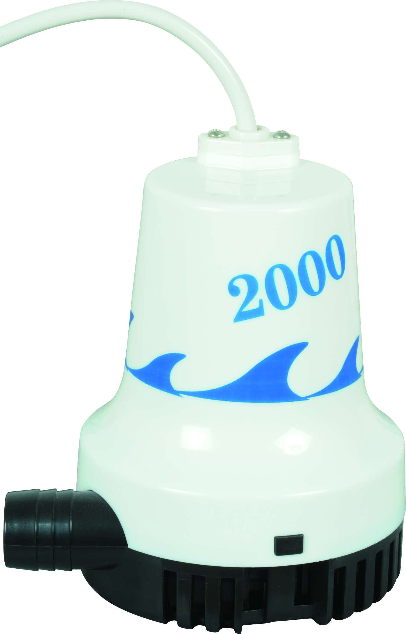 WWB -05808