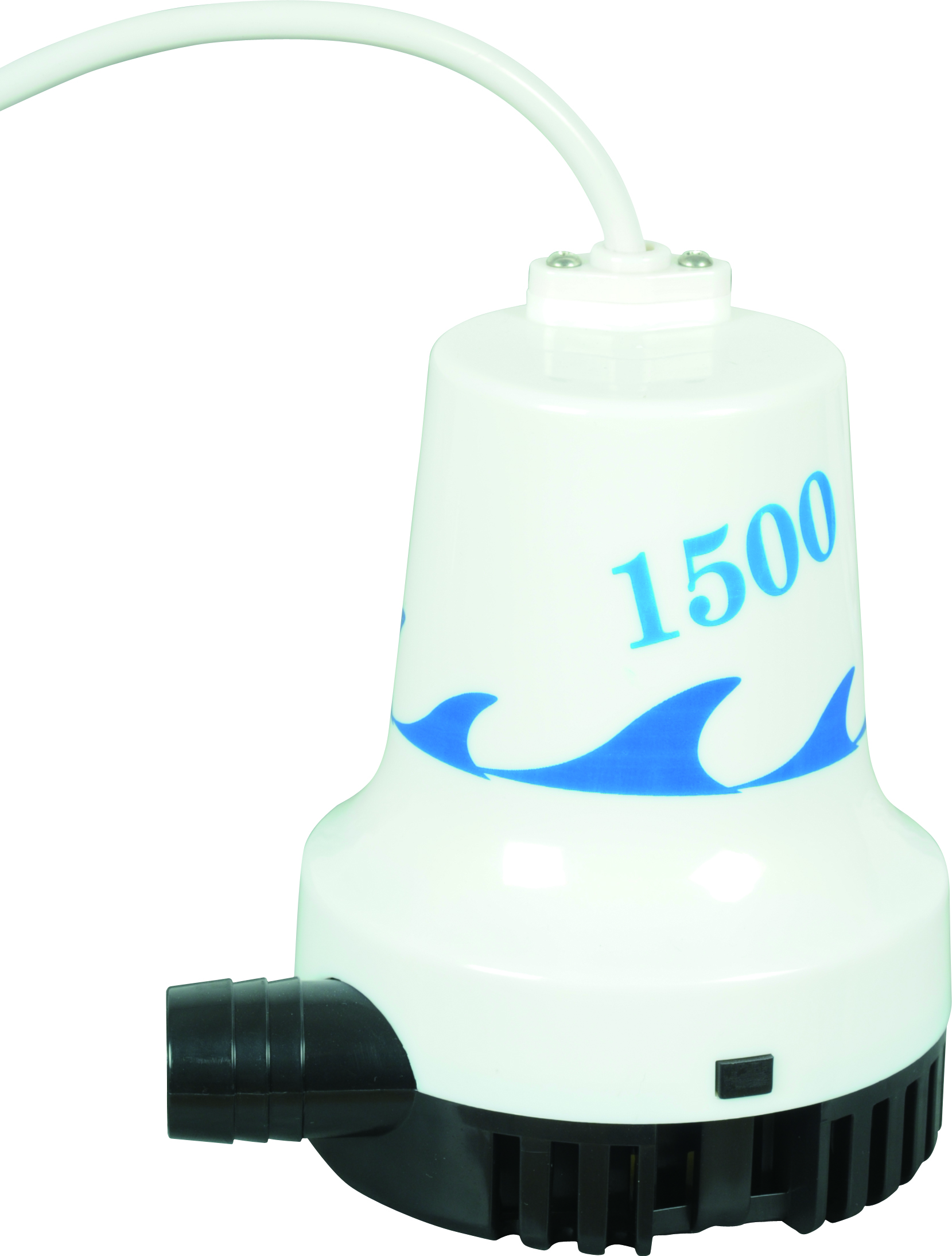 WWB -05807