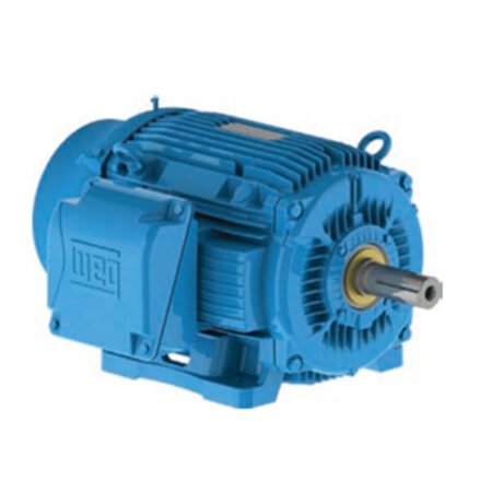 IEEE 841 - Three Phase WEG Electro Motors