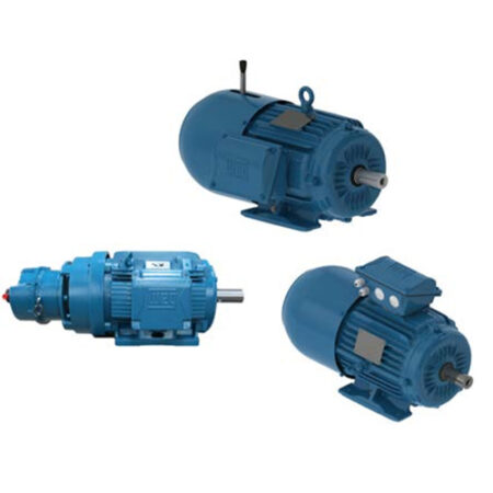 BRAKE MOTORS TEFC - Three Phase WEG Electro Motors