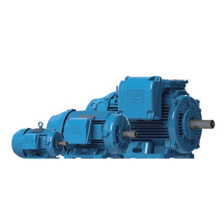 W22 - Cast Iron Foot Mount WEG Electro Motors
